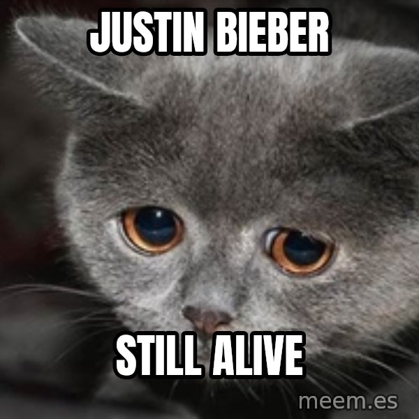 Sadcat meme: justin bieber / still alive