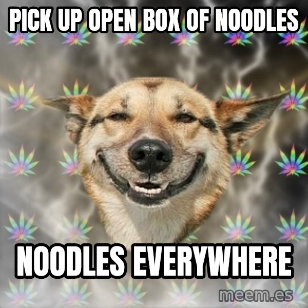 Stoner Dog meme: pick up open box of noodles / noodles everywhere