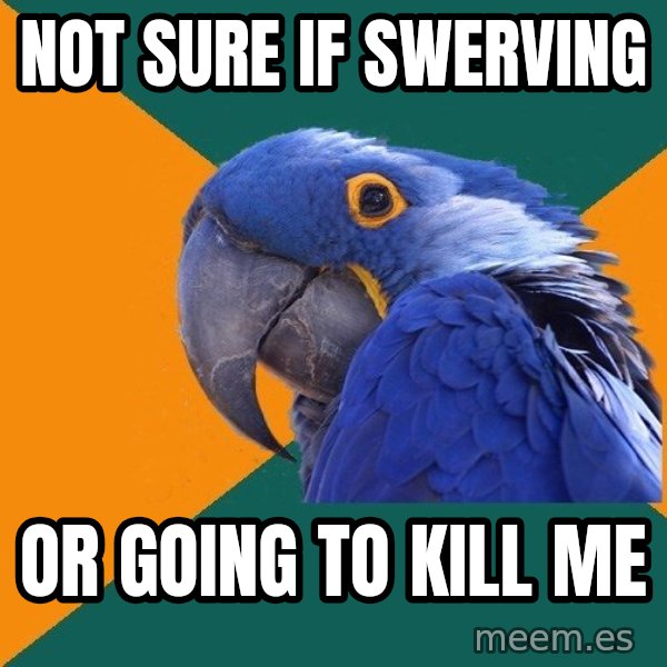 Paranoid Parrot meme: Not sure if swerving / Or going to kill me