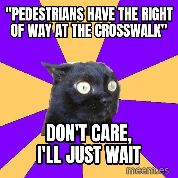 Anxiety Cat meme: "Pedestrians have the right of way at the crosswalk" / Don't care, i'll just wait