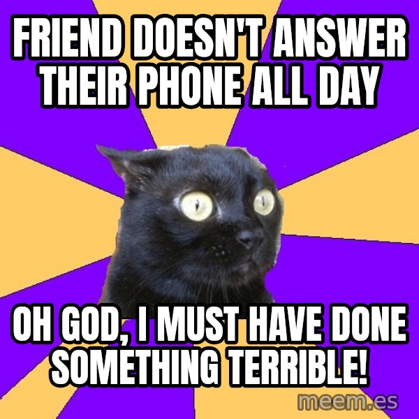 Anxiety Cat meme: Friend doesn't answer their phone all day / oh god, i must have done something terrible!