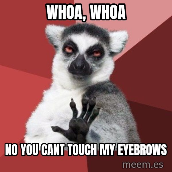 Chill Out Lemur meme: Whoa, whoa / no you cant touch my eyebrows