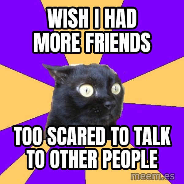 Anxiety Cat meme: WISH i HAD more FRIENDS / too scared to talk to other people