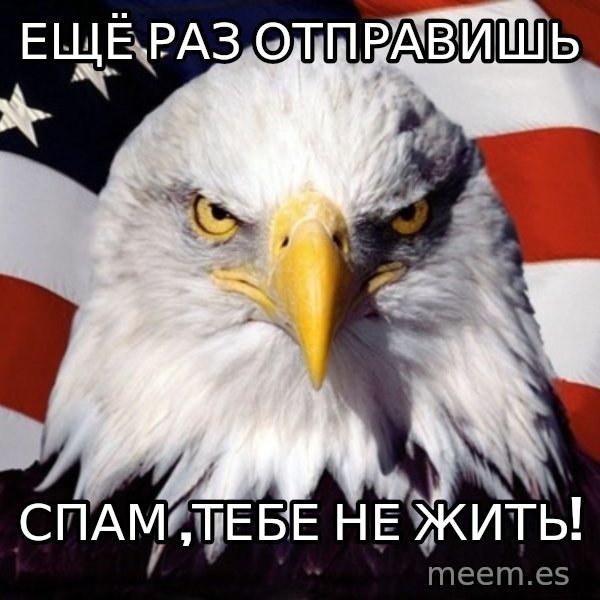 American Pride Eagle meme: ещё раз отправишь / СПАМ ,ТЕБЕ НЕ ЖИТЬ!