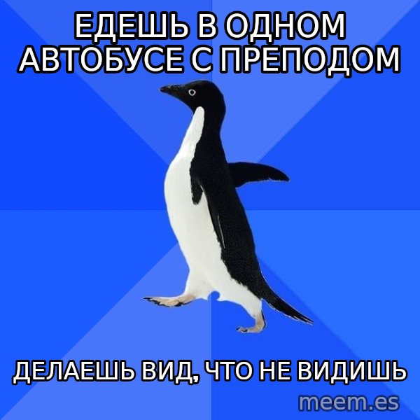 Socially Awkward Penguin meme: едешь в одном автобусе с преподом / делаешь вид, что не видишь