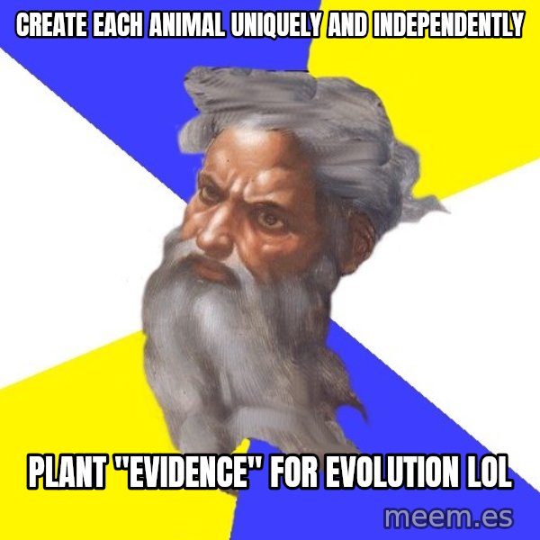 Advice God meme: create each animal uniquely and independently / plant "evidence" for evolution LOL