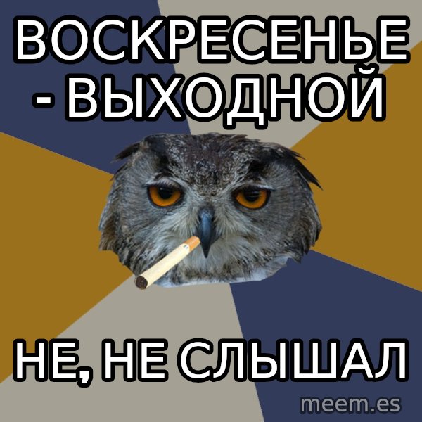 Art Student Owl meme: воскресенье - выходной / не, не слышал