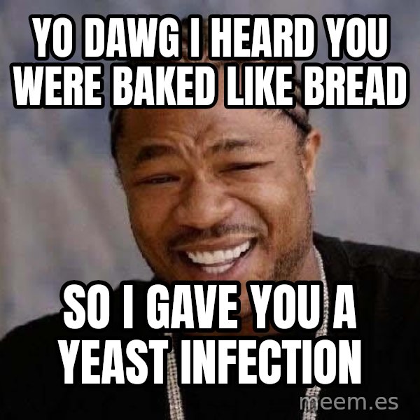 Yo Dawg meme: yo dawg i heard you were baked like bread / so i gave you a yeast infection