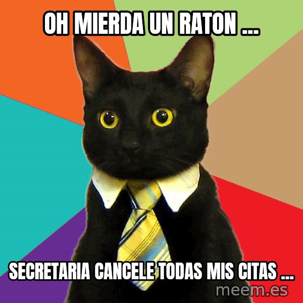 Business Cat meme: Oh mierda un raton ... / secretaria  cancele todas mis citas ...