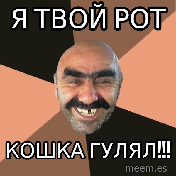 Provincial Man meme: Я ТВОЙ РОТ / КОШКА ГУЛЯЛ!!!