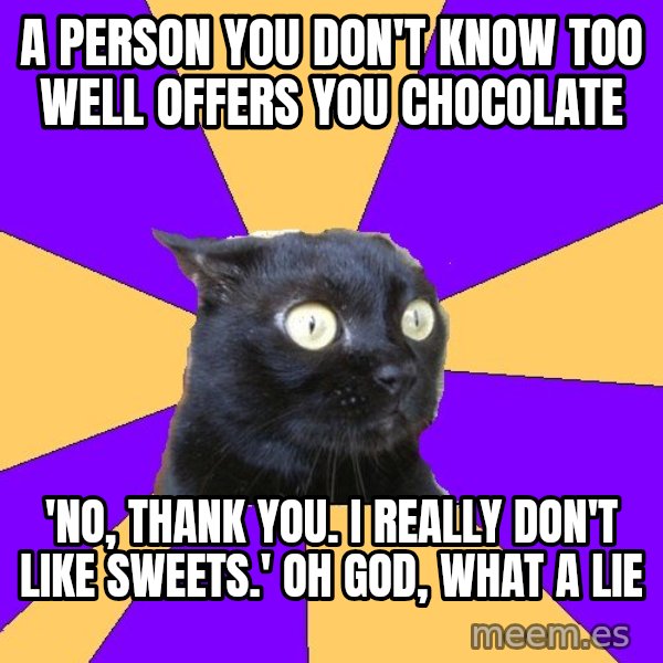 Anxiety Cat meme: A person you don't know too well offers you chocolate / 'No, thank you. i really don't like sweets.' Oh god, what a lie