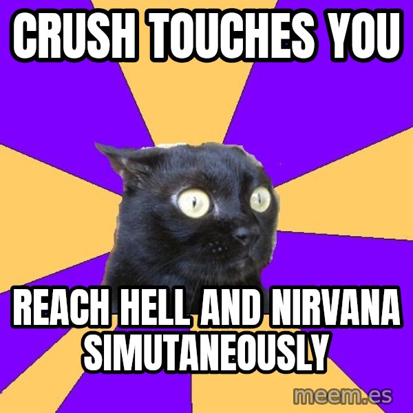 Anxiety Cat meme: CRUSH TOUCHES YOU / REACH HELL AND NIRVANA SIMUTANEOUSLY