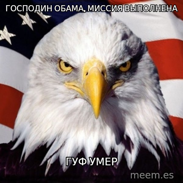 American Pride Eagle meme: господин обама, миссия выполнена / гуф умер