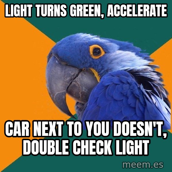 Paranoid Parrot meme: Light Turns Green, Accelerate / Car next to you doesn't, double check light