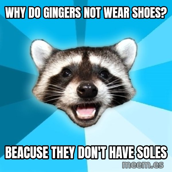 Lame Pun Coon meme: Why do gingers not wear shoes? / Beacuse they don't have soles