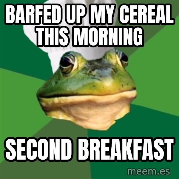 Foul Bachelor Frog meme: barfed up my cereal this morning / second breakfast