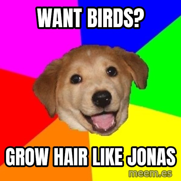 Advice Dog meme: want birds? / grow hair like jonas