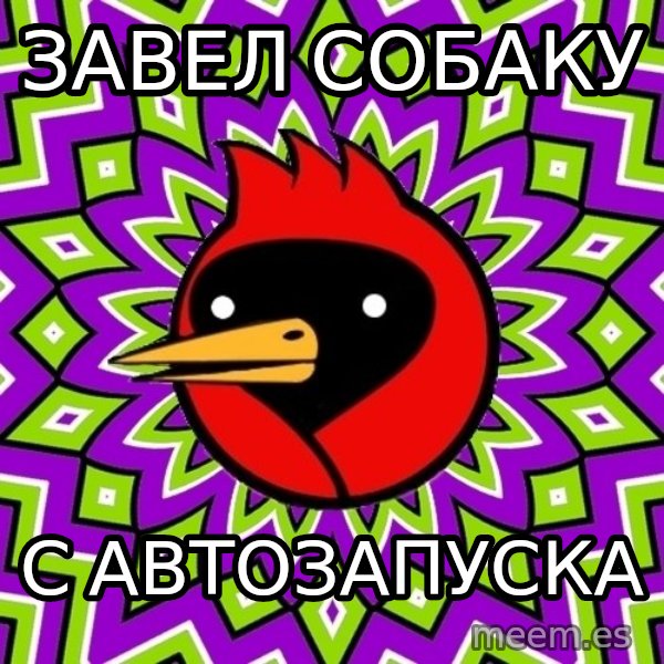 Omsk Crow meme: Завел собаку / с автозапуска