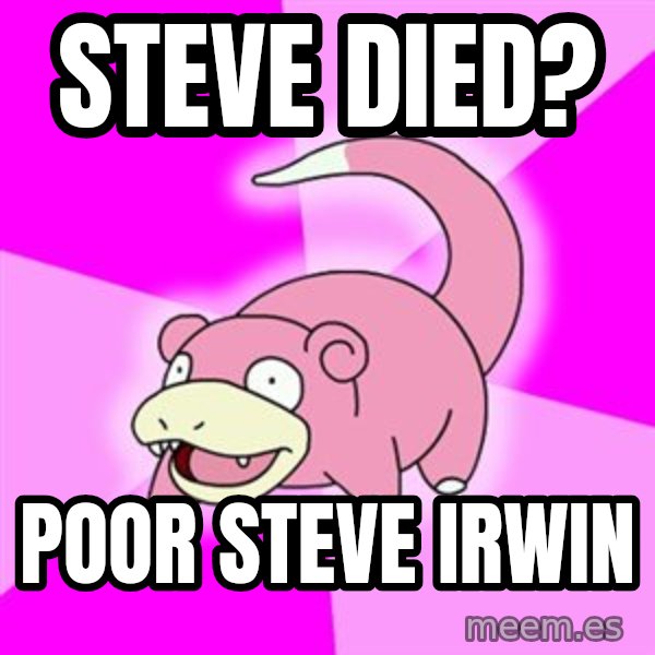 Slowpoke meme: Steve died? / Poor Steve Irwin