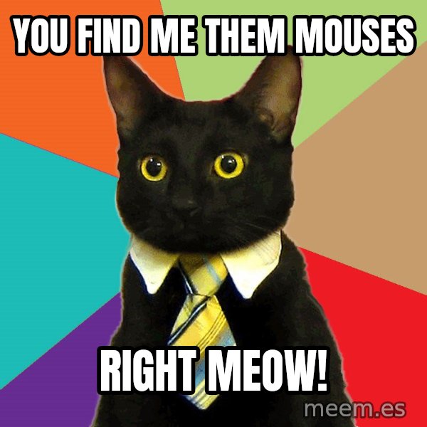 Business Cat meme: you find me them mouses / right meow!