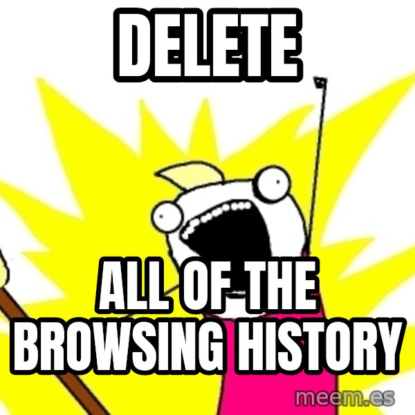 X ALL THE THINGS meme: DELETE / ALL OF THE BROWSING HISTORY