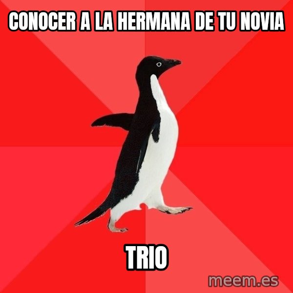 Socially Awesome Penguin meme: Conocer a la hermana de tu novia / trio
