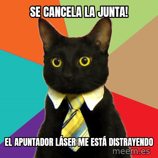 Business Cat meme: Se cancela la Junta! / El apuntador láser me está distrayendo
