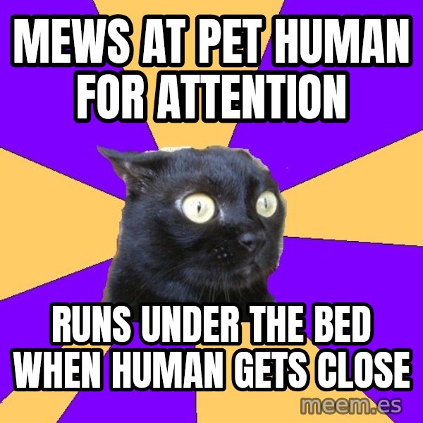 Anxiety Cat meme: mews at pet human for attention / runs under the bed when human gets close