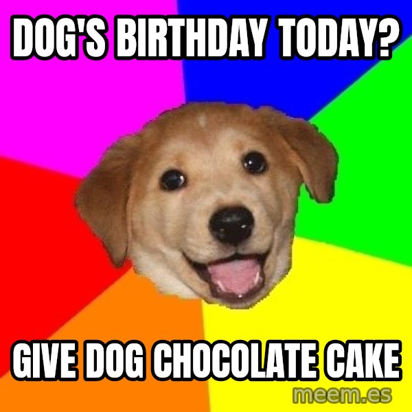 Advice Dog meme: dog's birthday today? / give dog chocolate cake