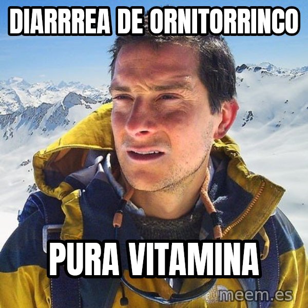 Bear Grylls Loneliness meme: diarrrea de ornitorrinco / pura vitamina