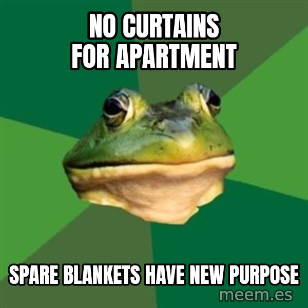 Foul Bachelor Frog meme: no curtains for apartment / spare blankets have new purpose