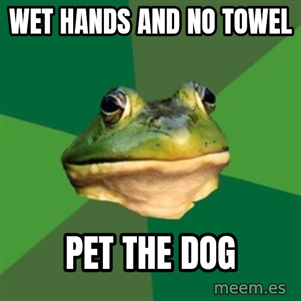 Foul Bachelor Frog meme: wet hands and no towel / pet the dog