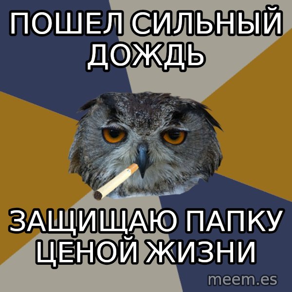 Art Student Owl meme: Пошел сильный дождь / защищаю папку ценой жизни