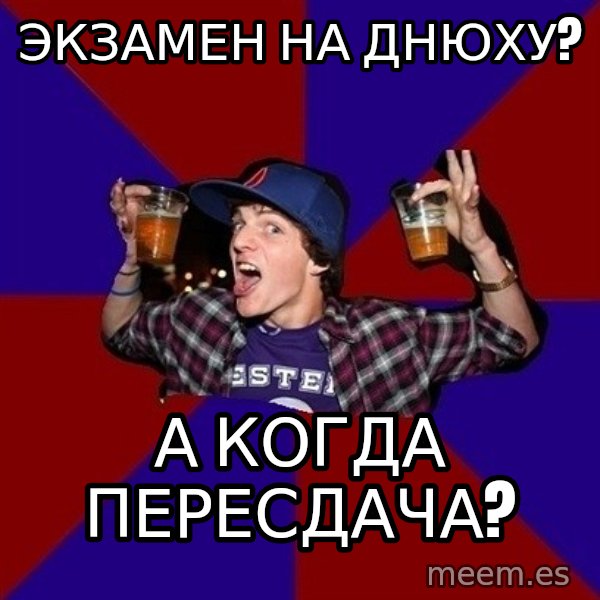 Sunny Student meme: экзамен на  днюху? / а когда  пересдача?