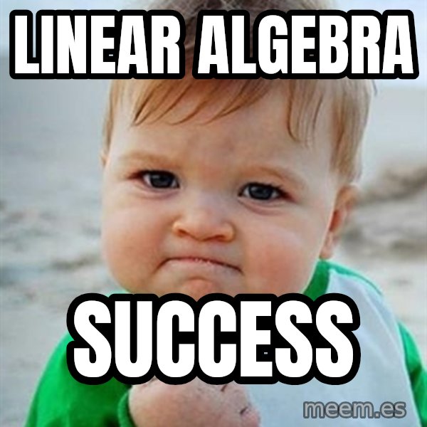 Victory Baby meme: LINEAR ALGEBRA / SUCCESS