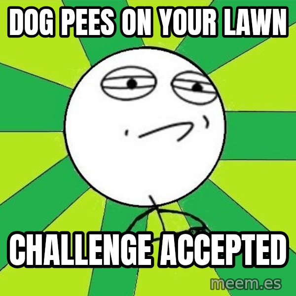 Challenge Accepted 2 meme: Dog pees on your lawn / Challenge accepted