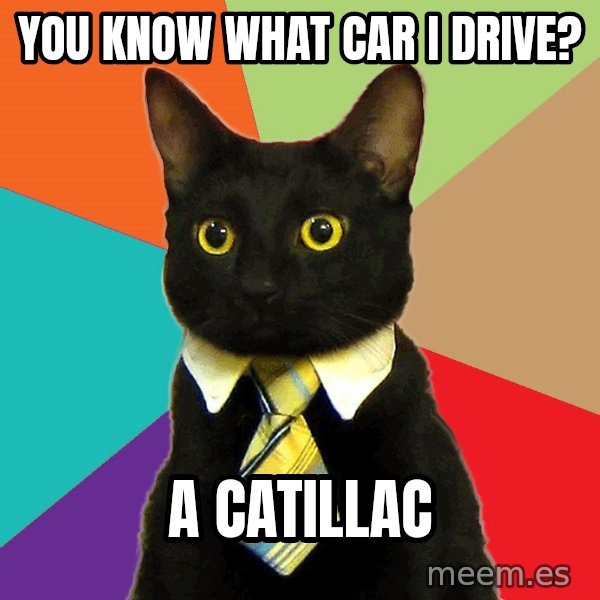 Business Cat meme: You know what car I drive? / a catillac