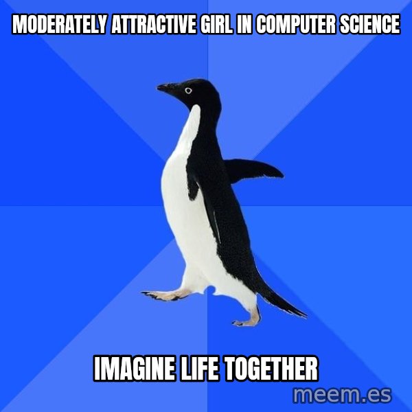 Socially Awkward Penguin meme: moderately attractive girl in computer science / imagine life together