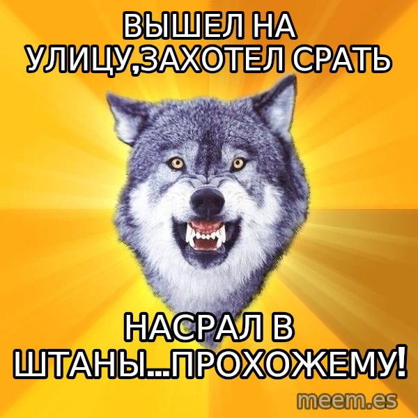Courage Wolf meme: вышел на улицу,захотел срать / насрал в штаны...прохожему!