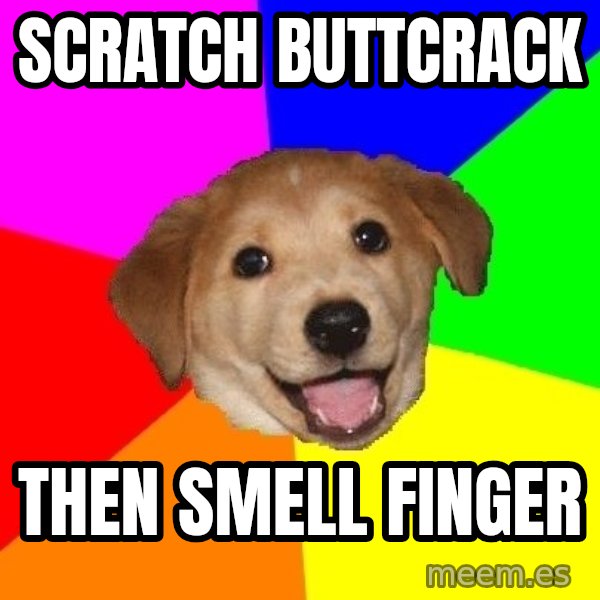 Advice Dog meme: SCRATCH BUTTCRACK / then SMELL FINGER