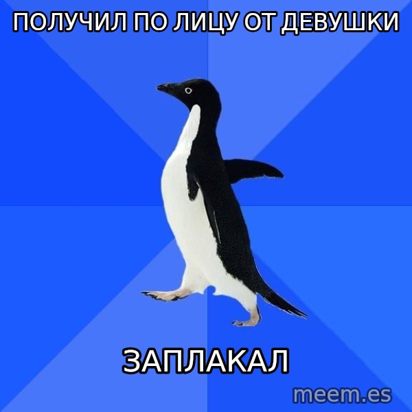 Socially Awkward Penguin meme: получил по лицу от девушки / заплакал