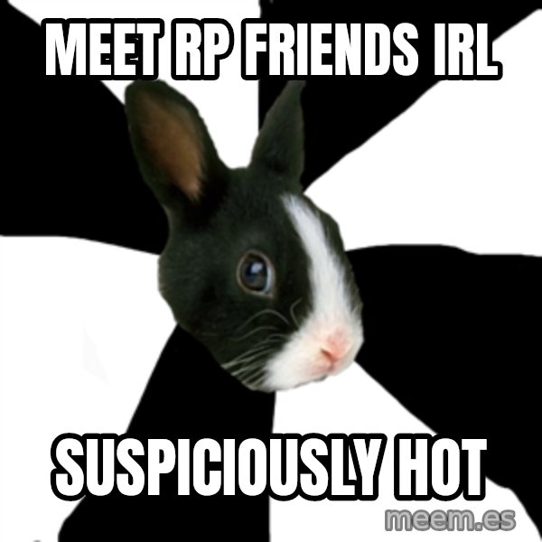 Roleplaying Rabbit meme: Meet rp friends irl / suspiciously hot