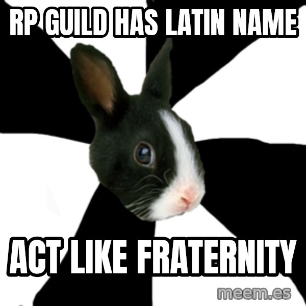 Roleplaying Rabbit meme: rp guild has latin name / act like fraternity