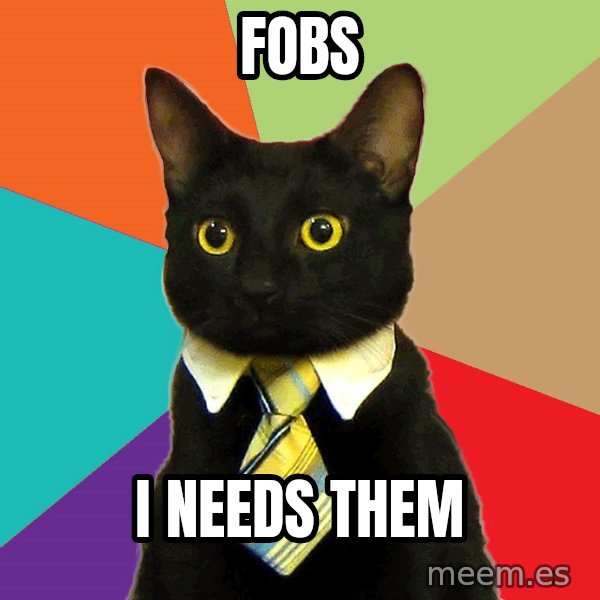 Business Cat meme: fobs / i needs them