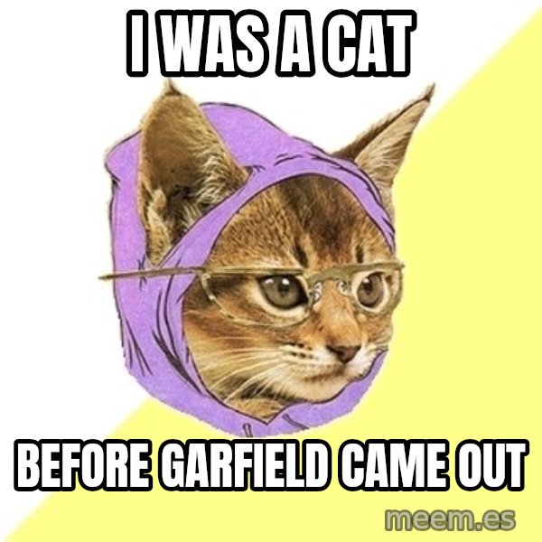 Hipster Kitty meme: I was a Cat / before  Garfield came out