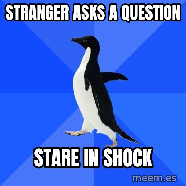 Socially Awkward Penguin meme: stranger asks a question / stare in shock