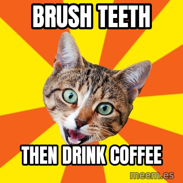 Bad Advice Cat meme: brush teeth / then drink coffee
