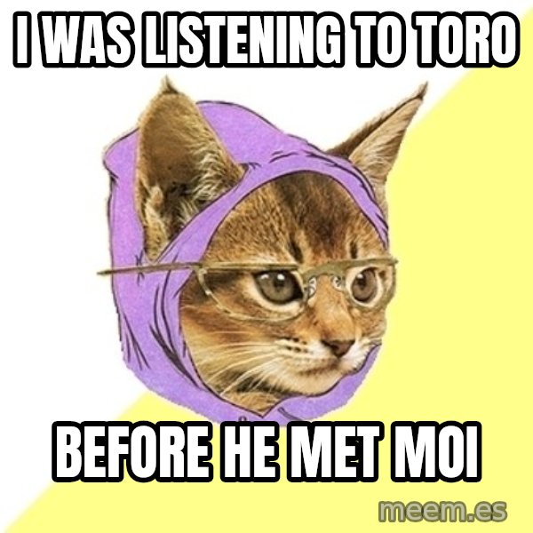 Hipster Kitty meme: i was listening to toro / before he met moi