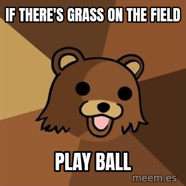 Pedobear meme: if there's grass on the field / play ball