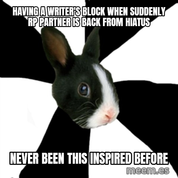 Roleplaying Rabbit meme: having a writer's block when suddenly RP pARTNER IS BACK FROM HIATUS / never been this inspired before